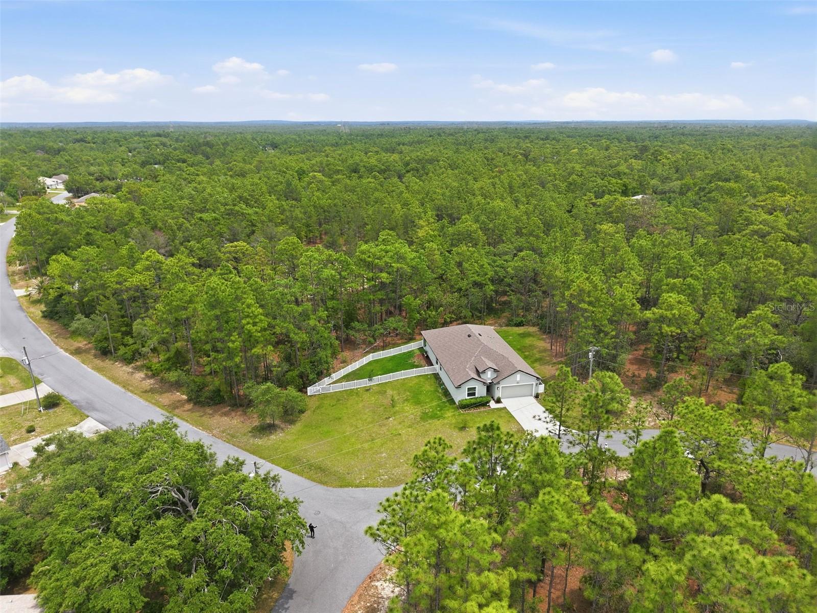 Listing photo id 52 for 39 Milbark Drive