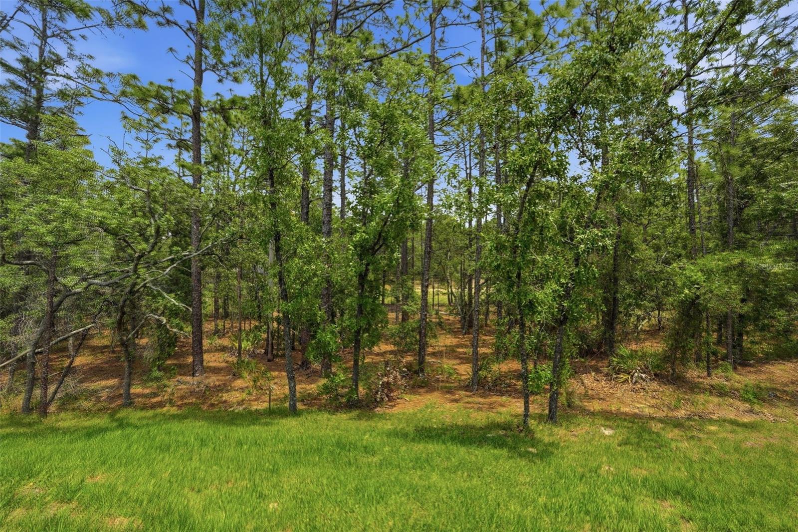Listing photo id 53 for 39 Milbark Drive