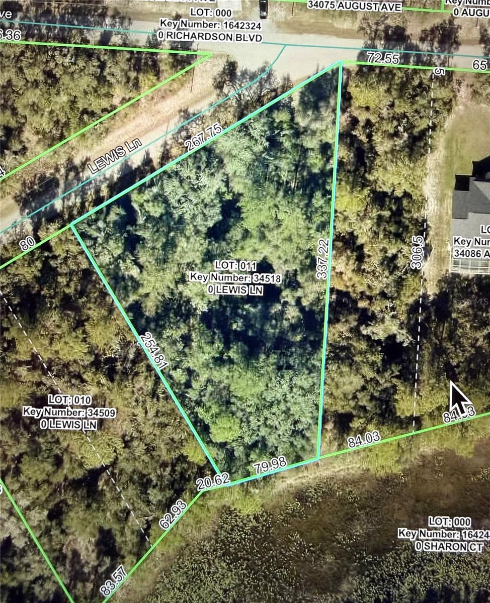 Details for  Lewis Lane , WEBSTER, FL 33597