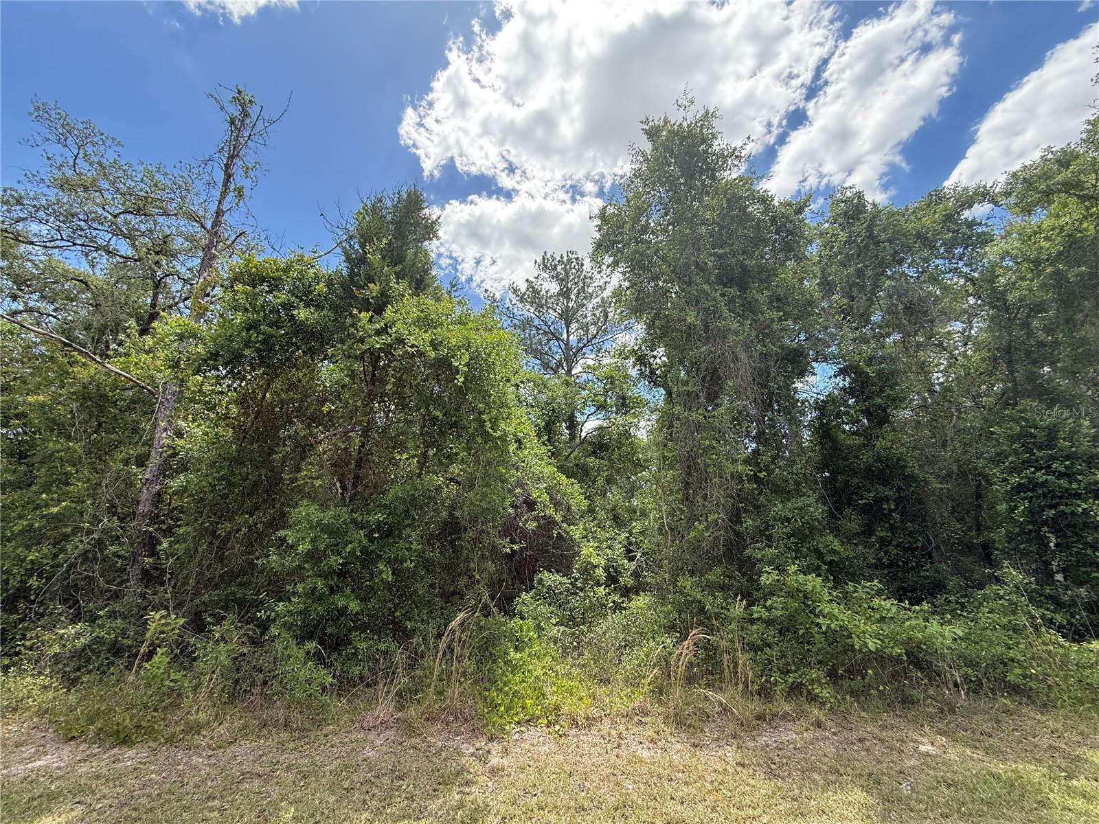 Image 12 of 13 For  Lewis Lane 