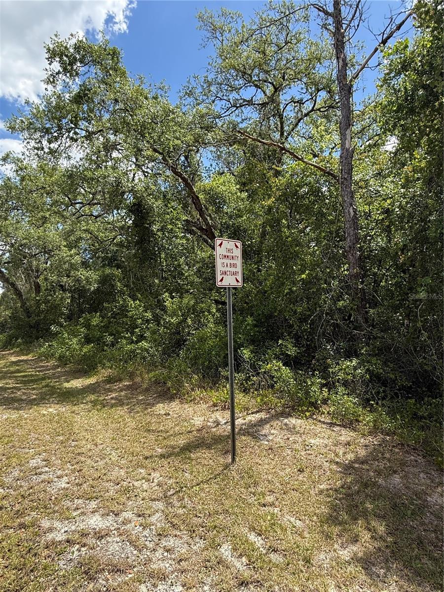 Image 7 of 13 For  Lewis Lane 