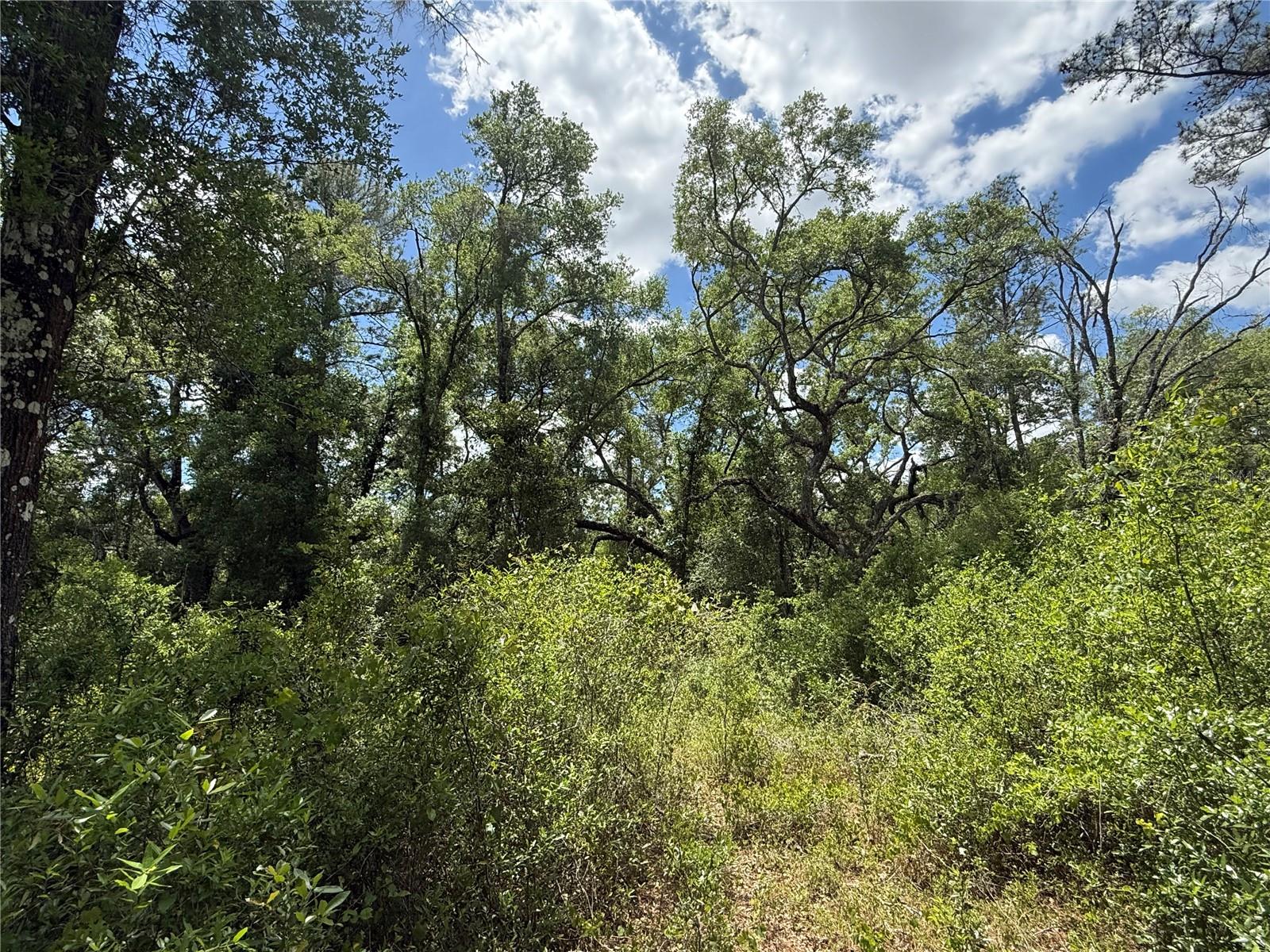 Image 8 of 13 For  Lewis Lane 