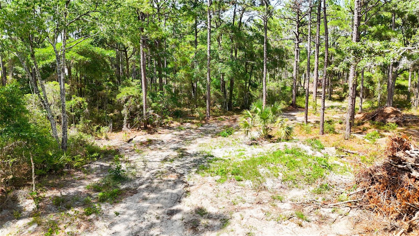 Image 11 of 34 For 0 Windhaven Lane