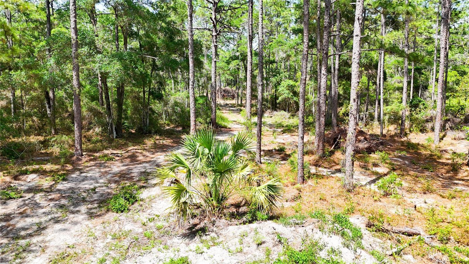 Image 12 of 34 For 0 Windhaven Lane