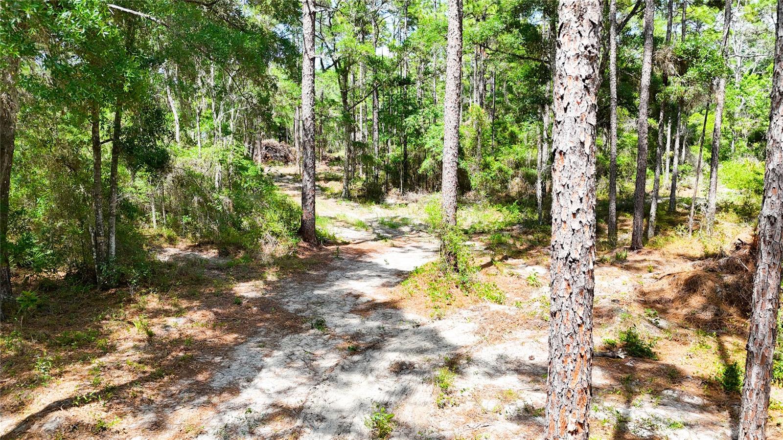 Image 13 of 34 For 0 Windhaven Lane