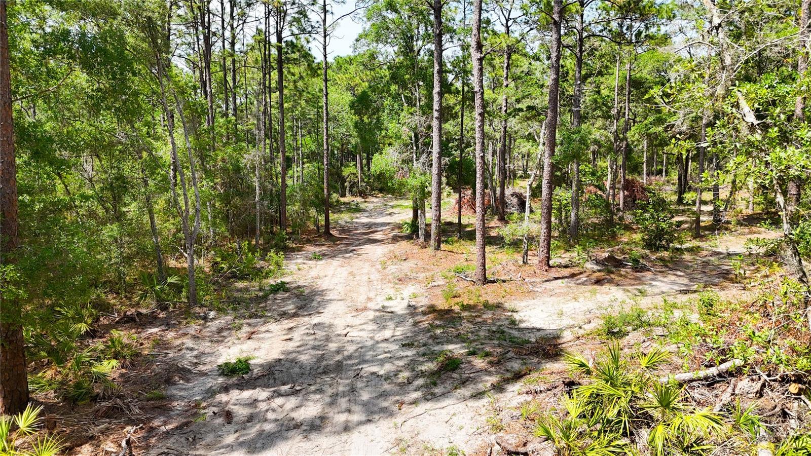 Image 6 of 34 For 0 Windhaven Lane
