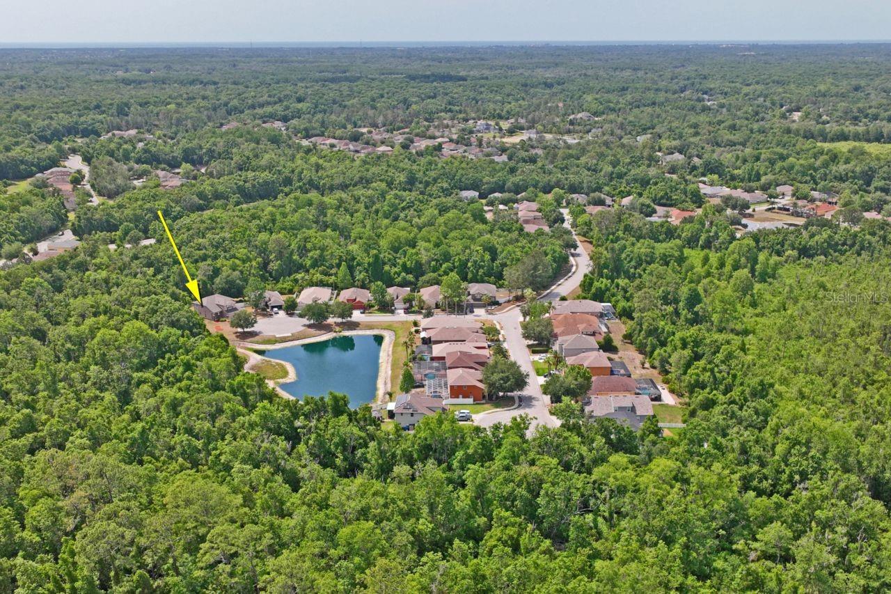 Image 79 of 99 For 9423 Fairhope Court