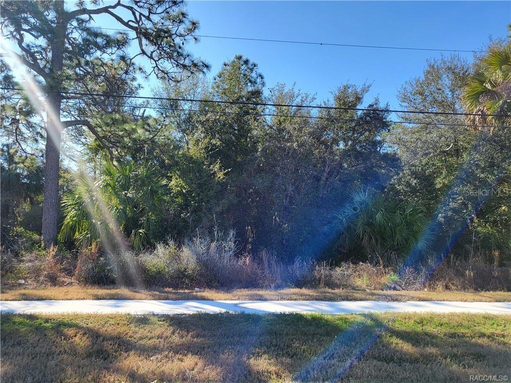 Details for 1224 Suncoast Boulevard, HOMOSASSA, FL 34448