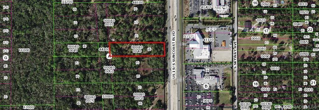 Image 5 of 5 For 1224 Suncoast Boulevard