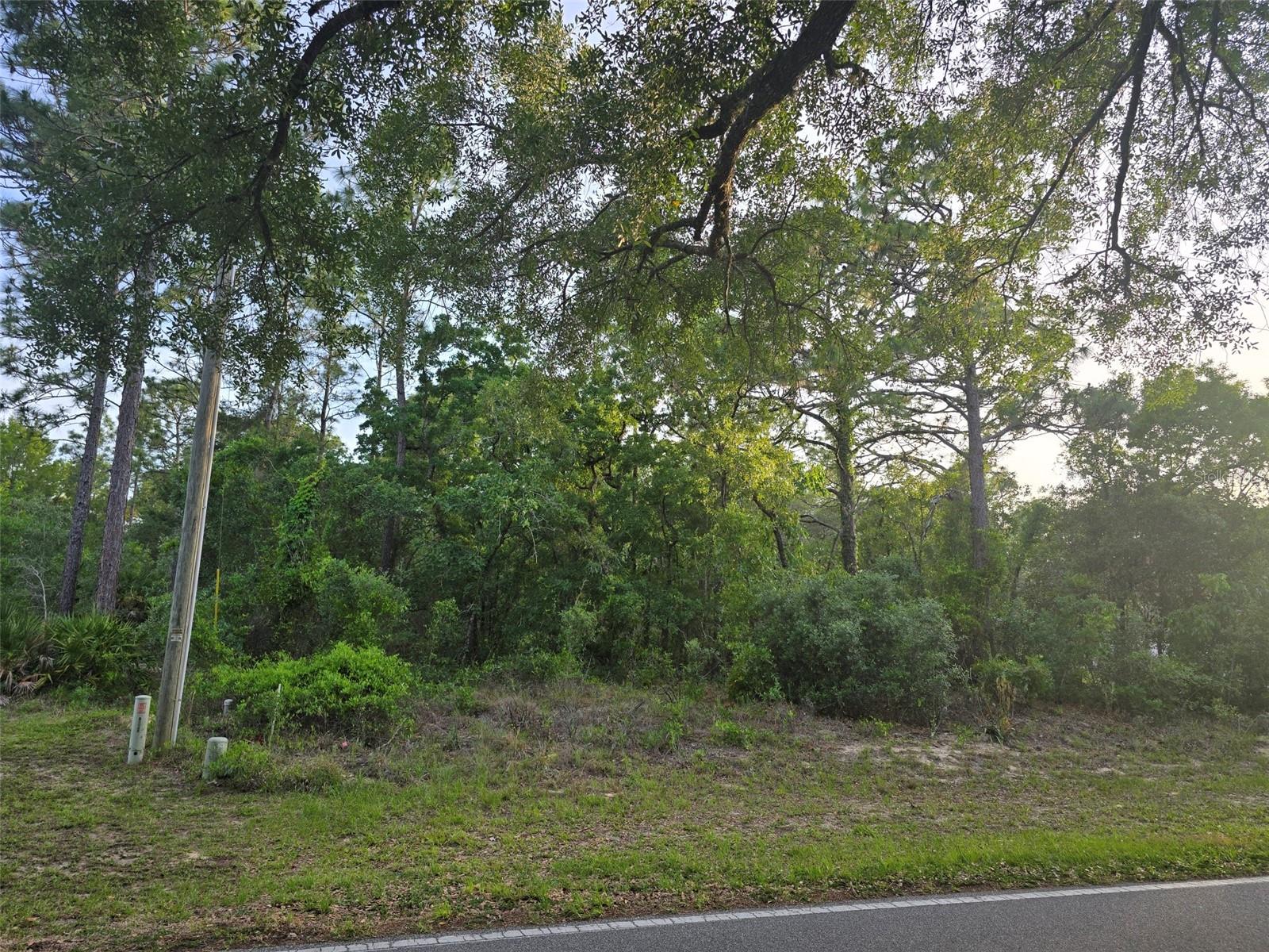 Details for 116 Oak Village Boulevard, HOMOSASSA, FL 34446