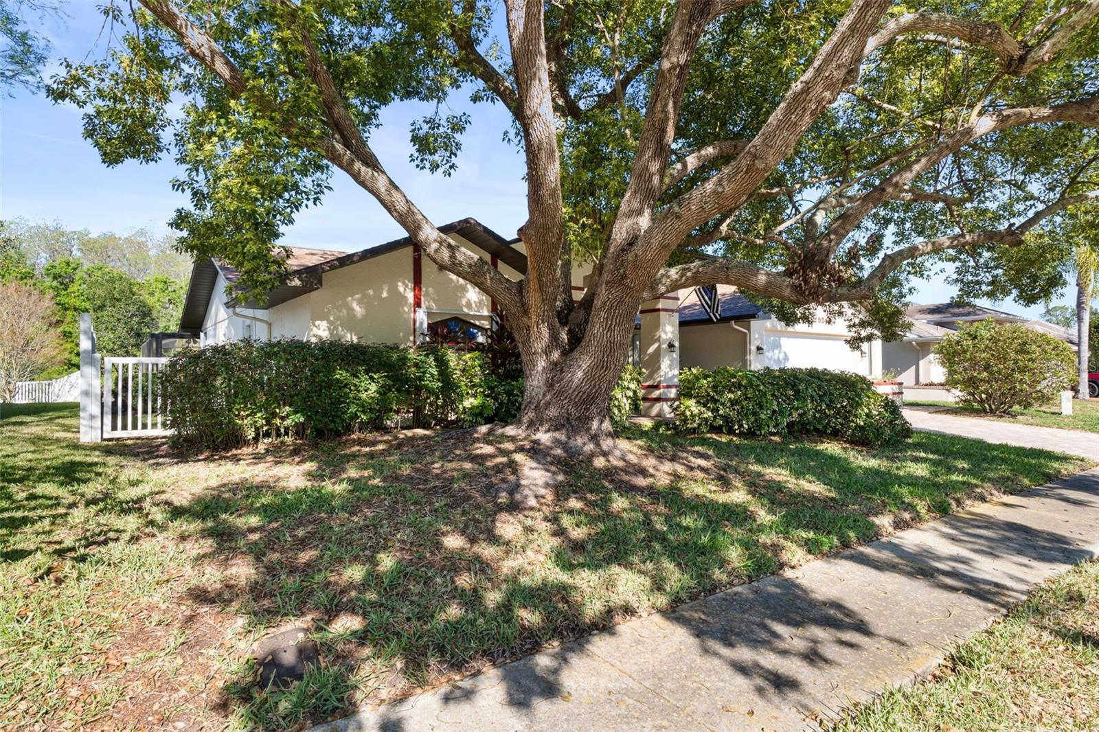 Image 3 of 54 For 5243 Saltamonte Drive