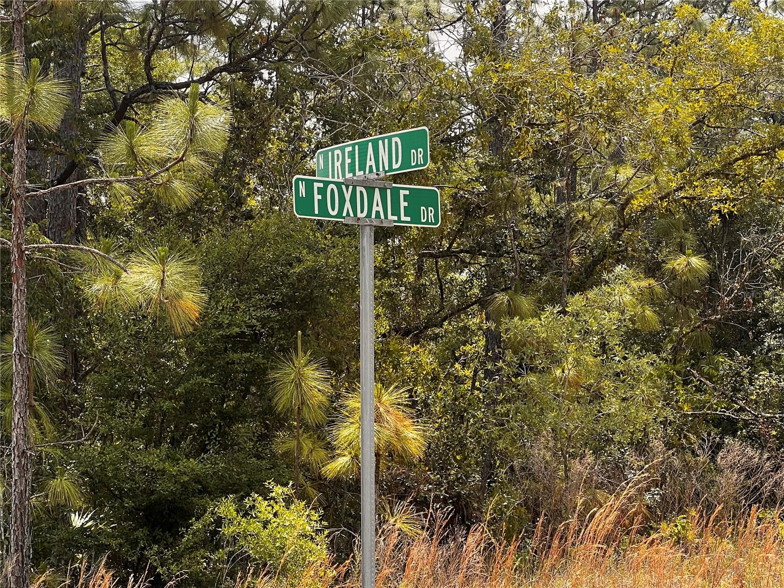 Image 11 of 13 For 7095 Foxdale Drive