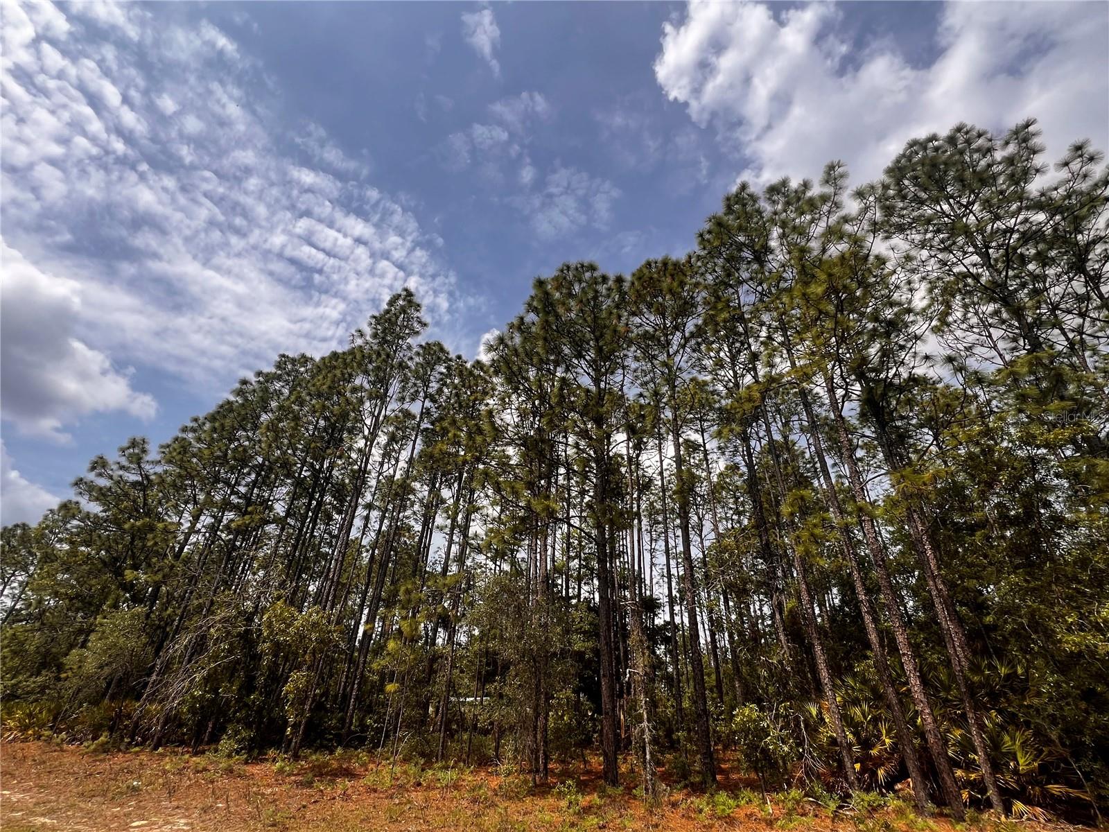 Image 4 of 13 For 7095 Foxdale Drive