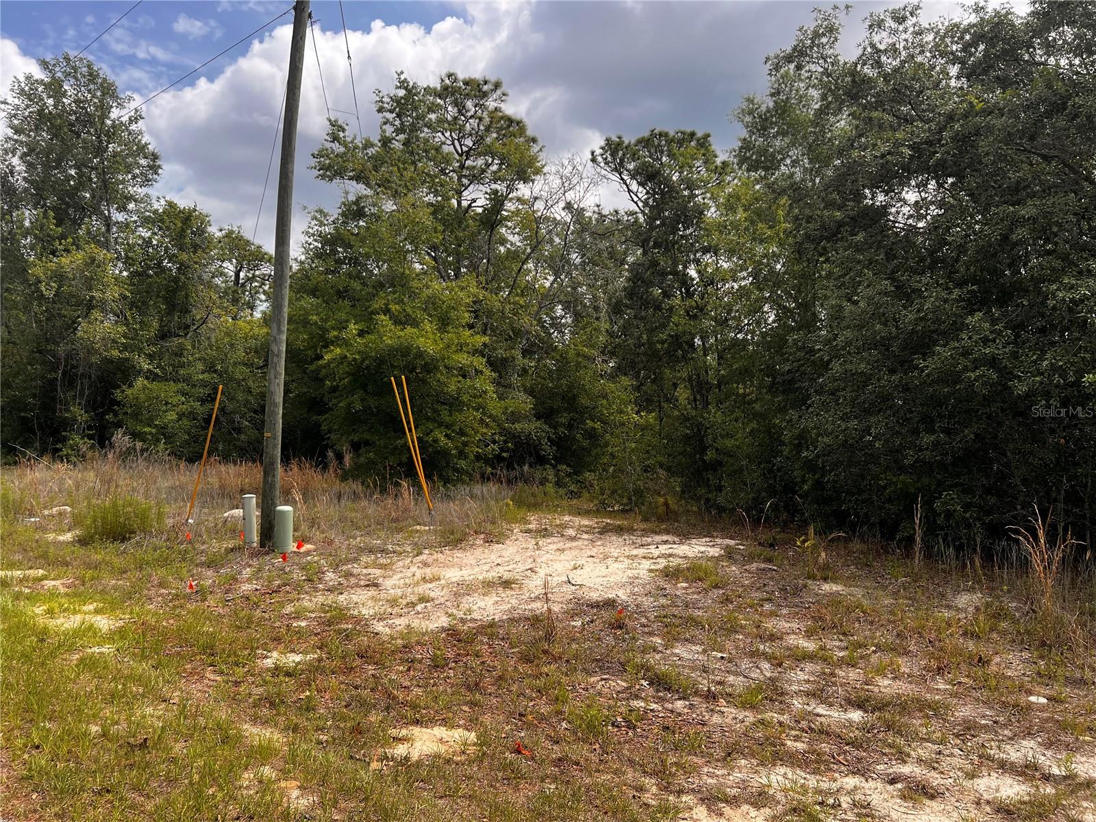 Image 6 of 13 For 7095 Foxdale Drive