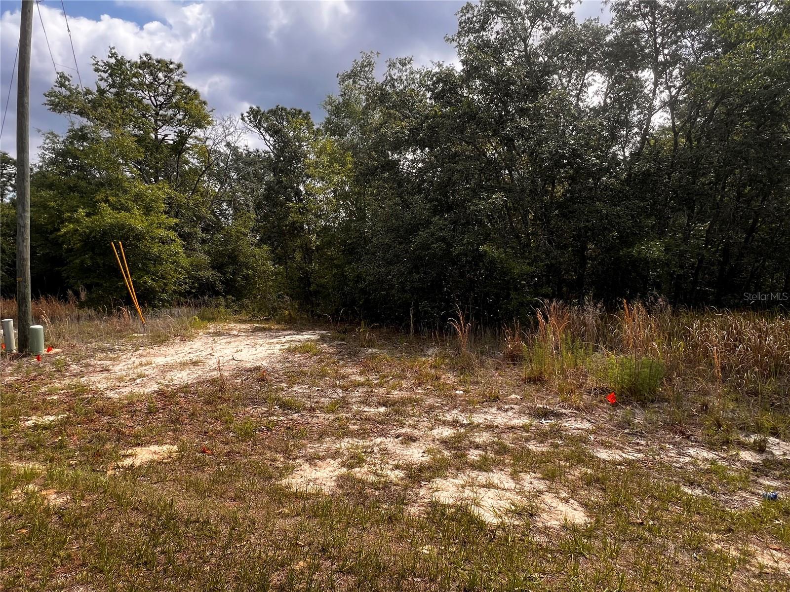 Image 8 of 13 For 7095 Foxdale Drive