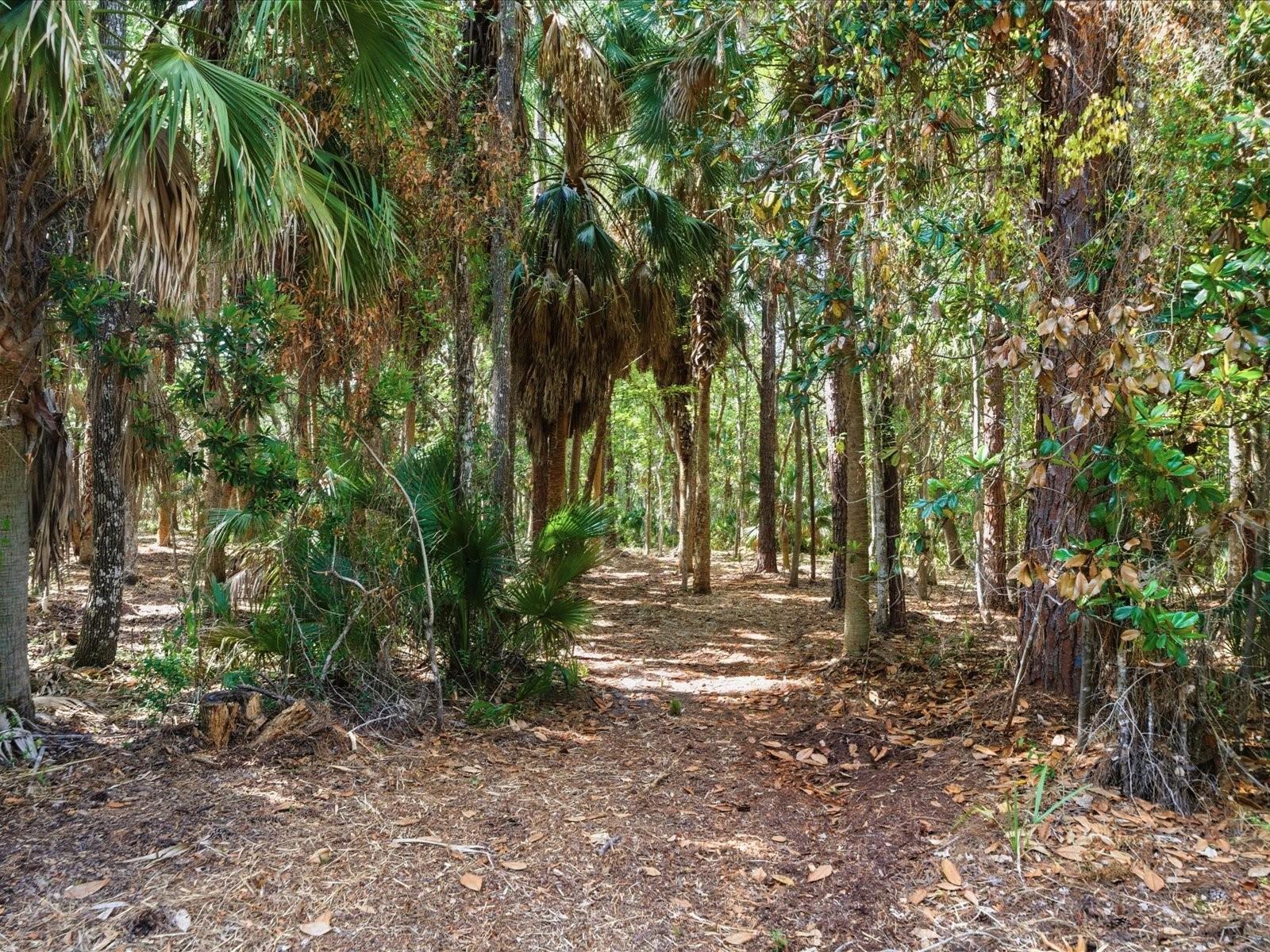 Image 5 of 5 For Osowaw Boulevard