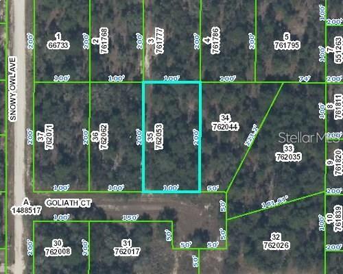 Details for 0 Goliath Court, WEEKI WACHEE, FL 34614