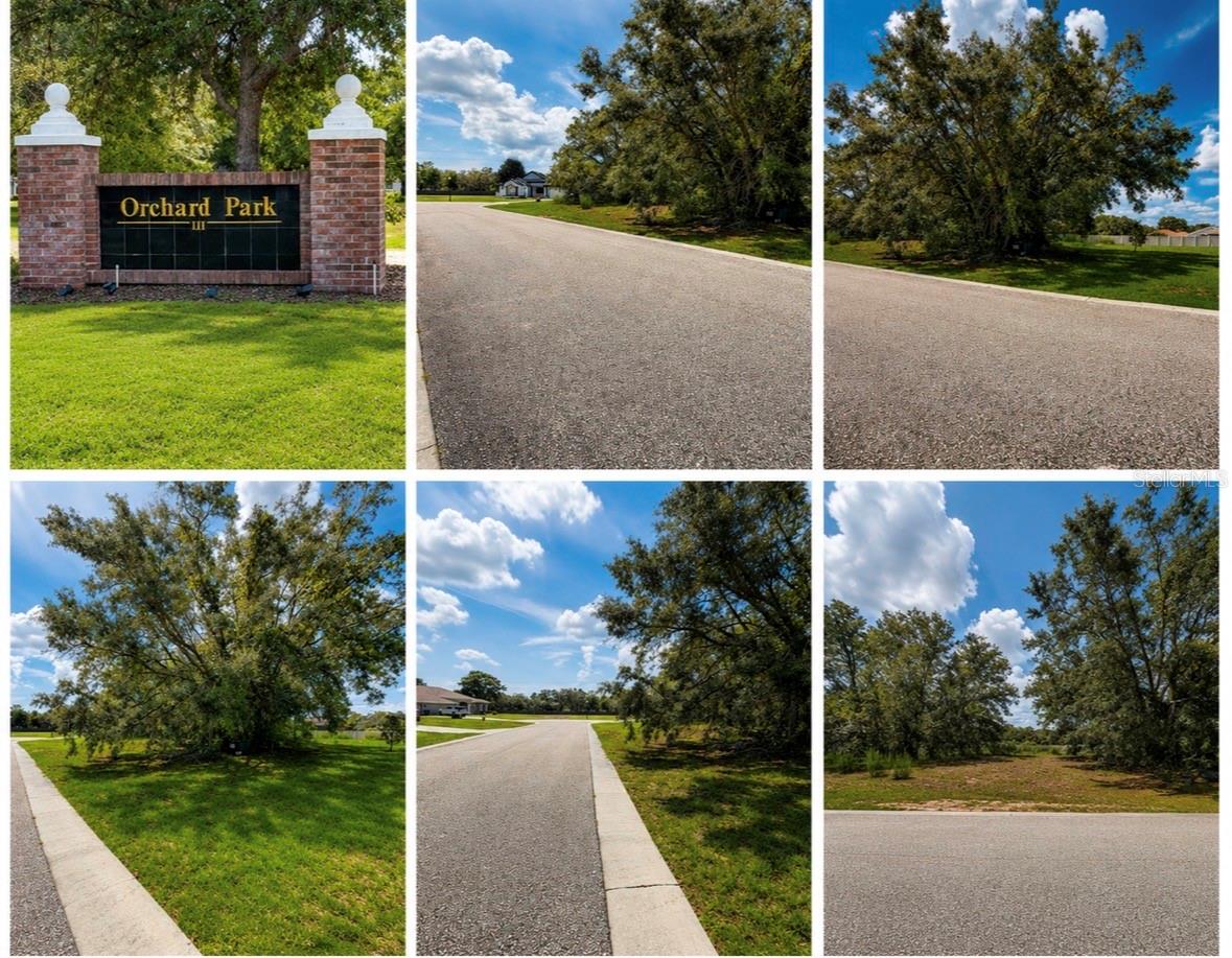 Details for 9925 Reindeer Court, SPRING HILL, FL 34608