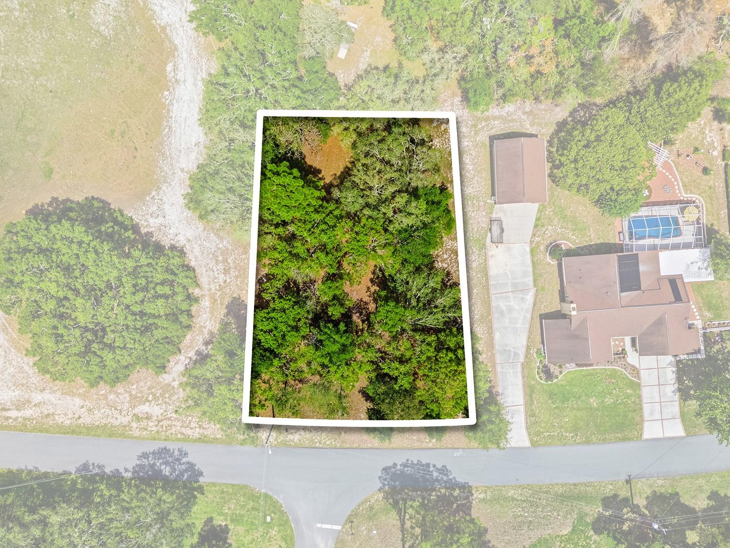 Details for 1228 Staten Avenue, Spring Hill, FL 34609