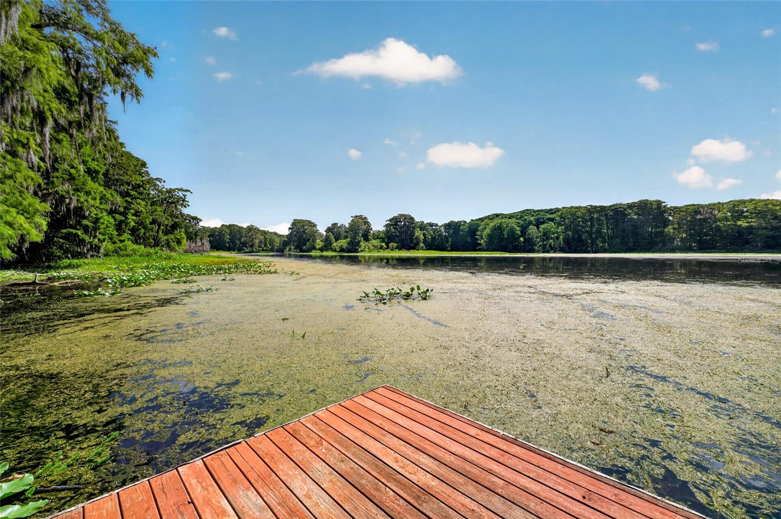 Listing photo id 58 for 28211 Magnon Drive