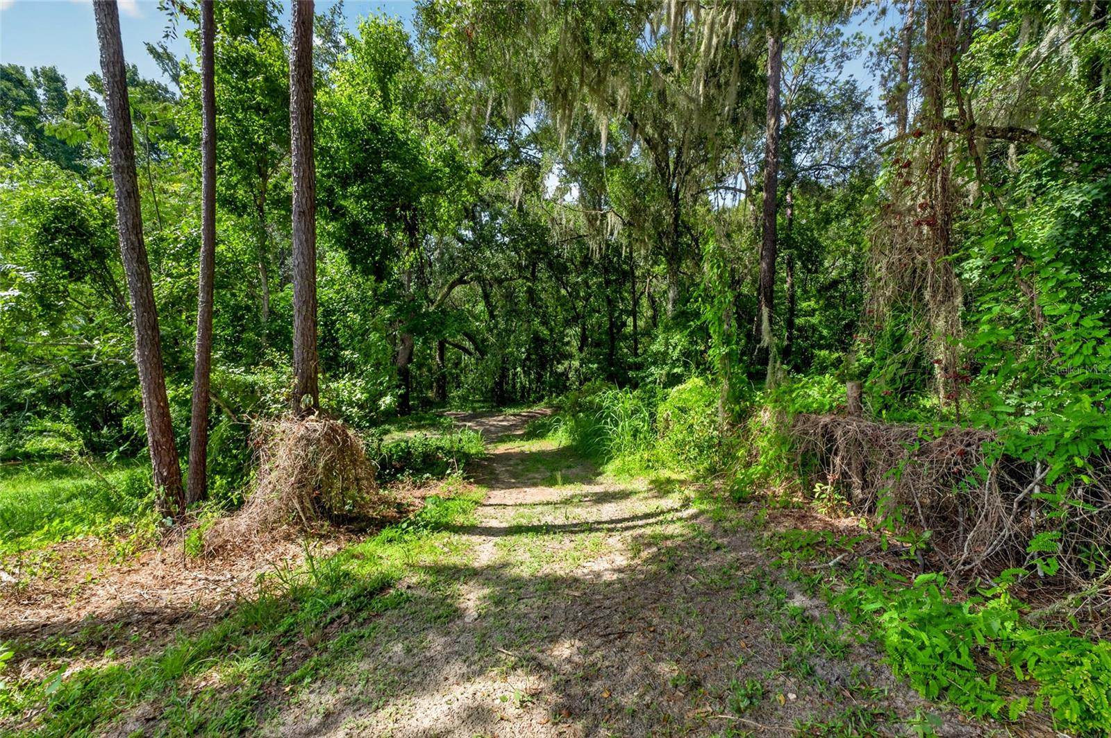 Listing photo id 69 for 28211 Magnon Drive