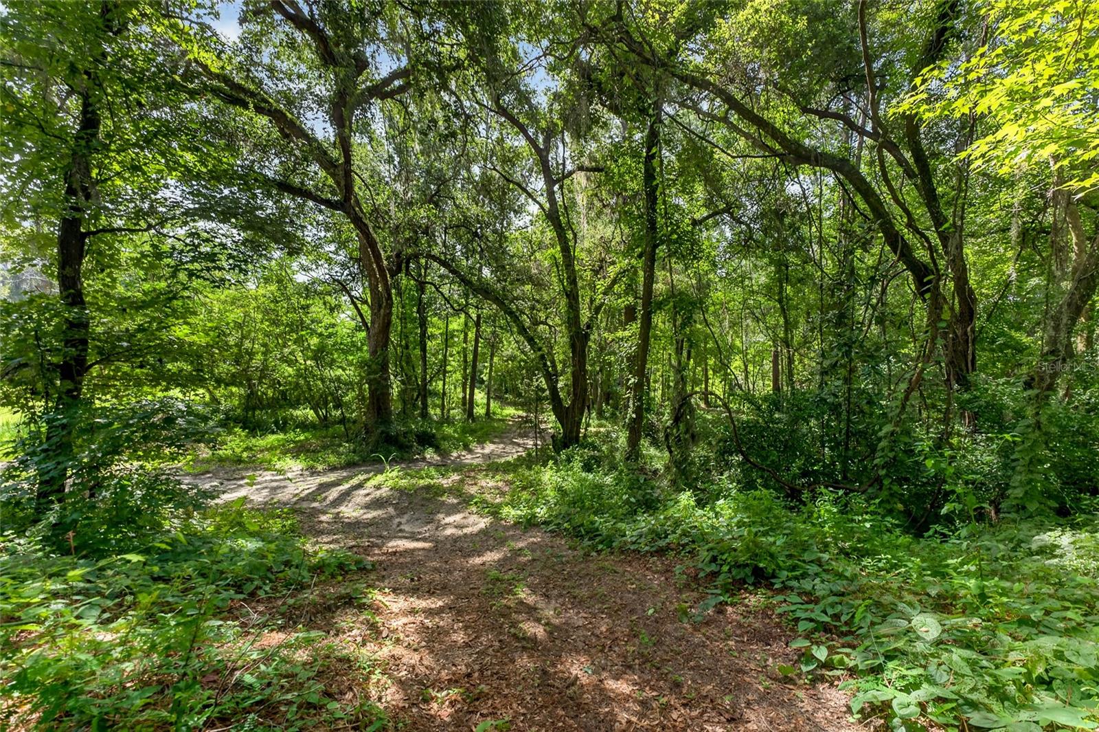 Listing photo id 84 for 28211 Magnon Drive