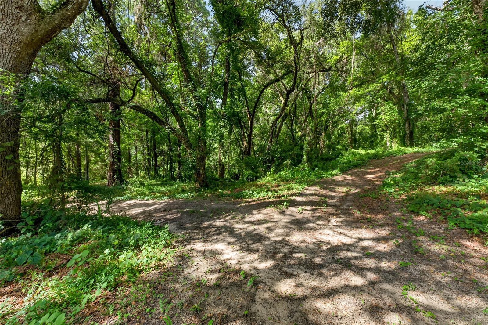 Listing photo id 85 for 28211 Magnon Drive