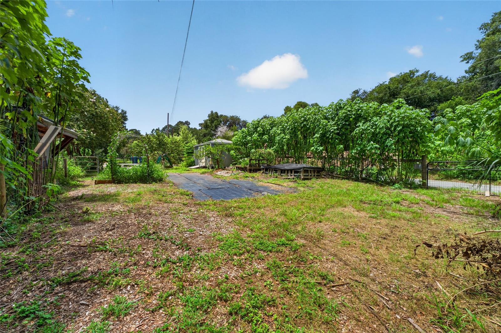 Listing photo id 87 for 28211 Magnon Drive
