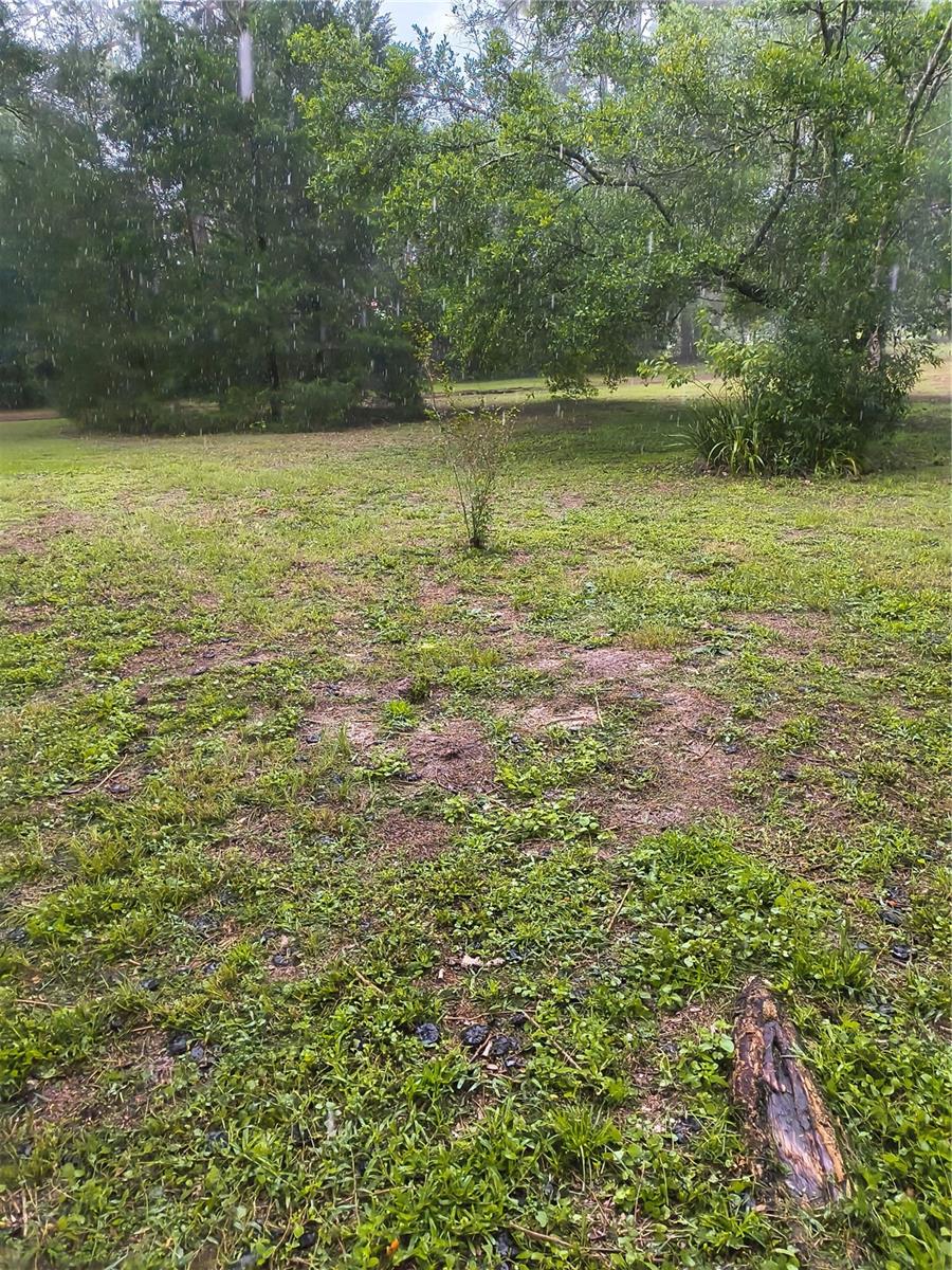 Image 41 of 45 For 18250 Caufield Road