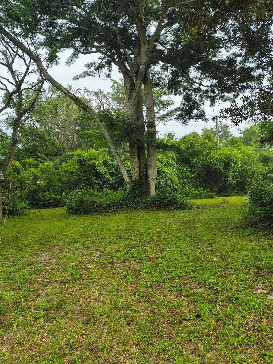 Image 45 of 45 For 18250 Caufield Road