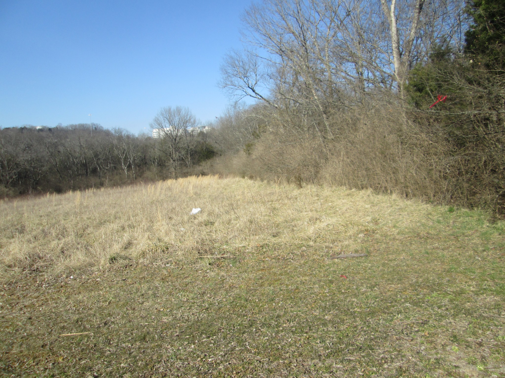 Image 7 of 8 For 3300 Walton Ln