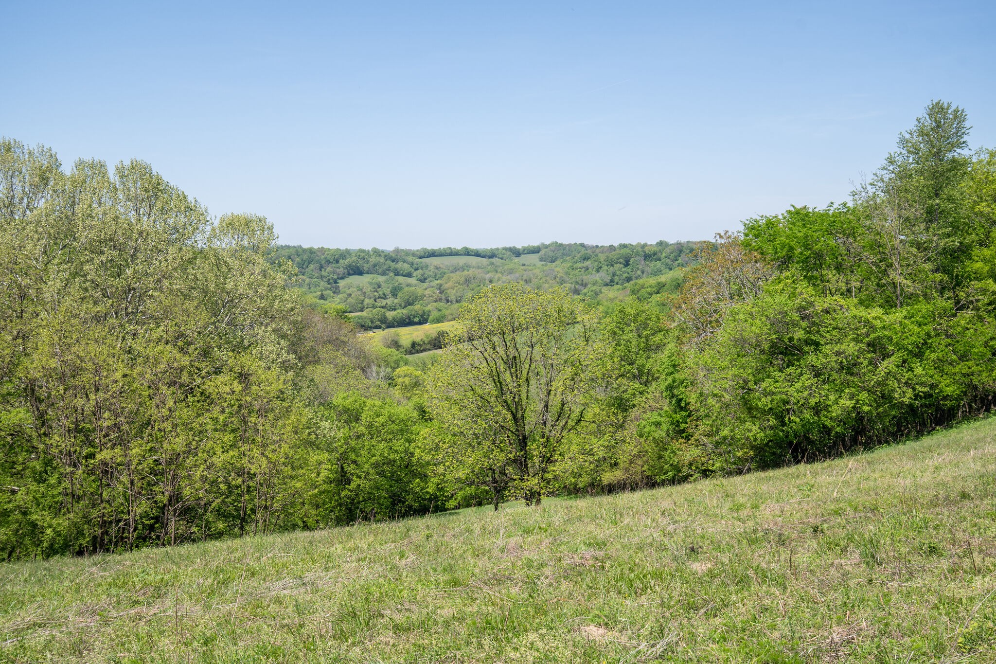 Image 13 of 20 For 0 Lynchburg Highway