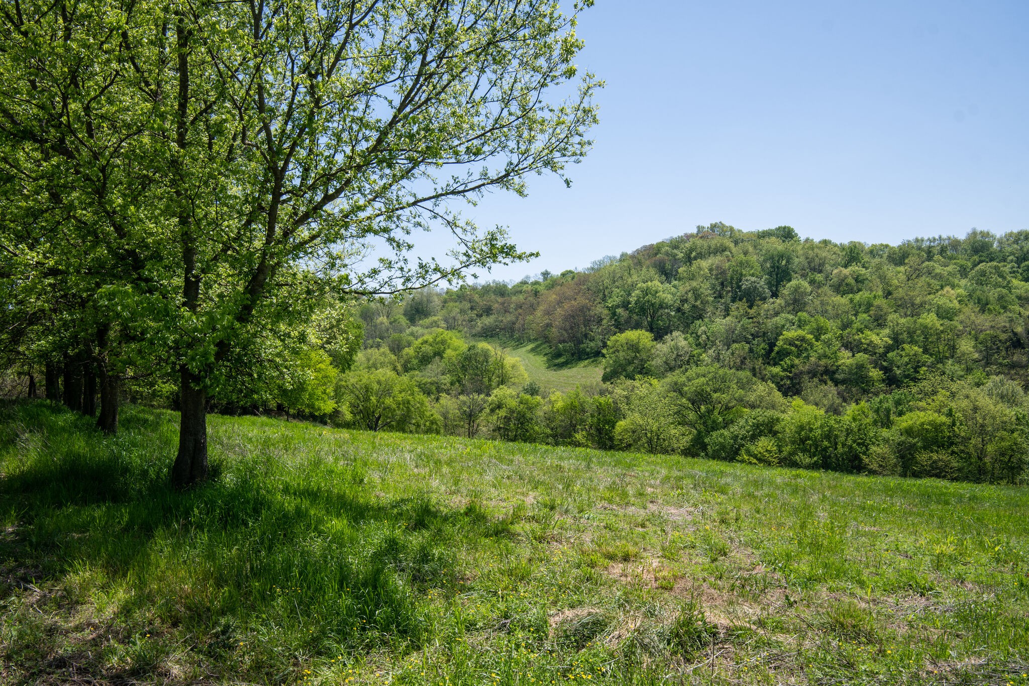 Image 17 of 20 For 0 Lynchburg Highway