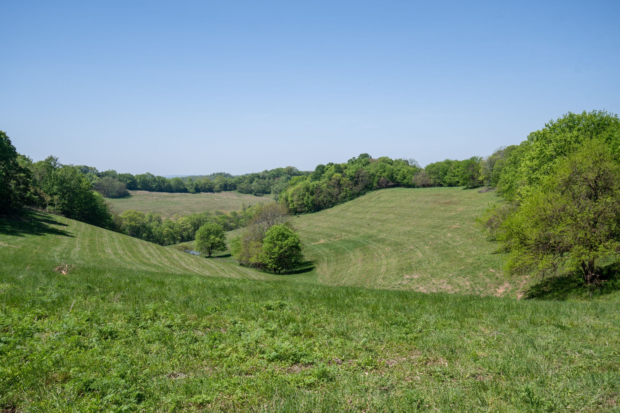 Image 5 of 20 For 0 Lynchburg Highway