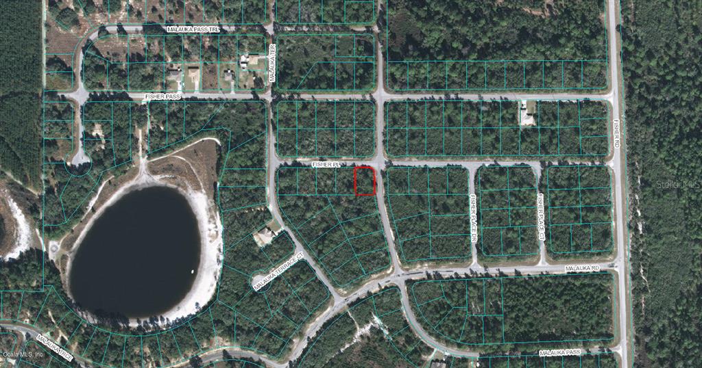 Listing Details for 00 Fisher Place, OCKLAWAHA, FL 32179