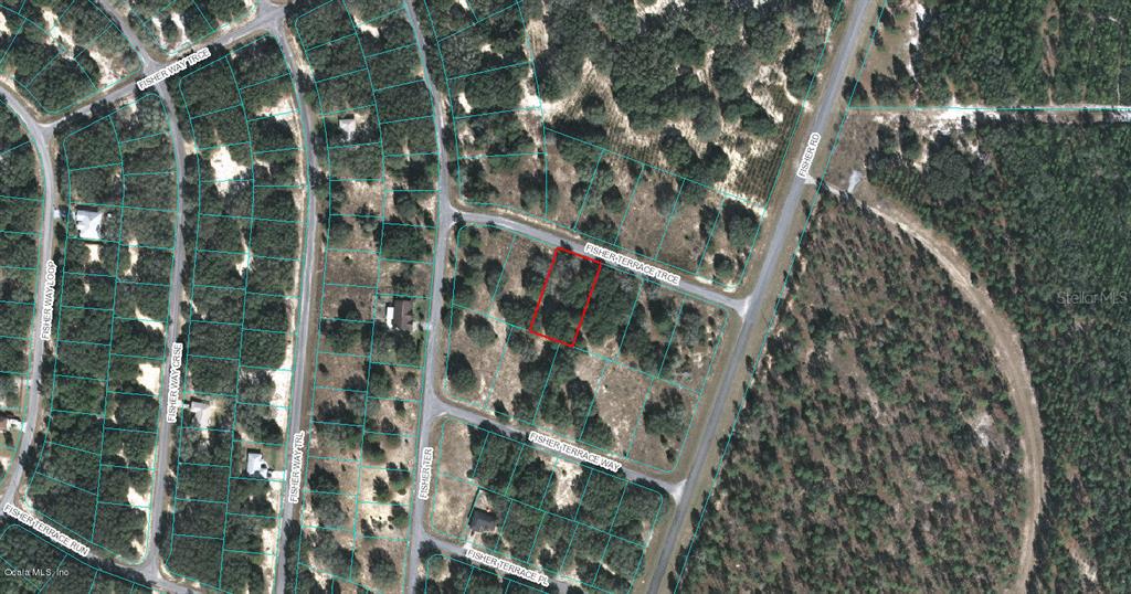 Listing Details for 00 Fisher Terrace Trace, OCKLAWAHA, FL 32179