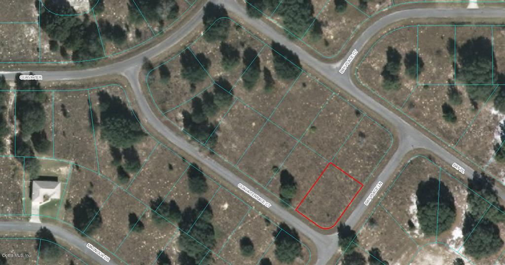 Listing Details for 00 Guava Terrace Court, OCKLAWAHA, FL 32179