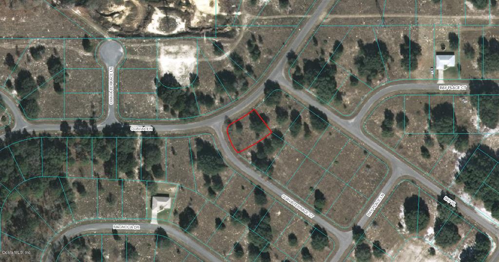 Listing Details for 00 Guava Terrace Court, OCKLAWAHA, FL 32179