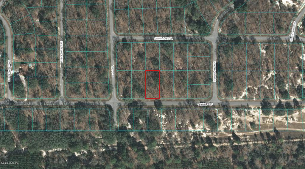 Listing Details for 00 Guava Pass, OCKLAWAHA, FL 32179