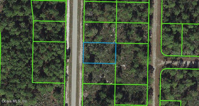 Listing Details for 1129 Western Boulevard, LAKE PLACID, FL 33852