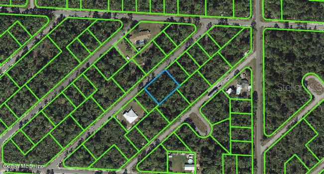Listing Details for 1057 Cellini Street, LAKE PLACID, FL 33852