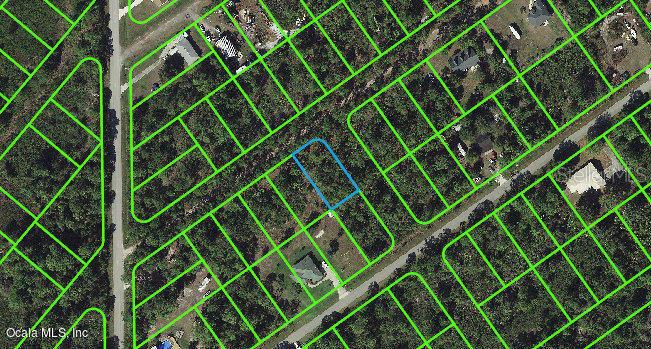 Listing Details for 1011 Dearing Street, LAKE PLACID, FL 33852