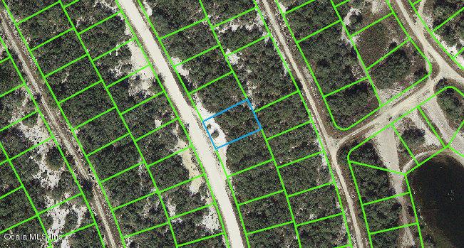 Listing Details for 217 Hopedale Drive, LAKE PLACID, FL 33852