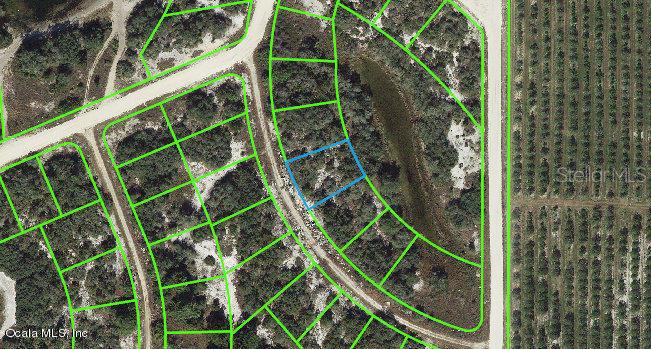 Listing Details for 123 Danby Drive, LAKE PLACID, FL 33852