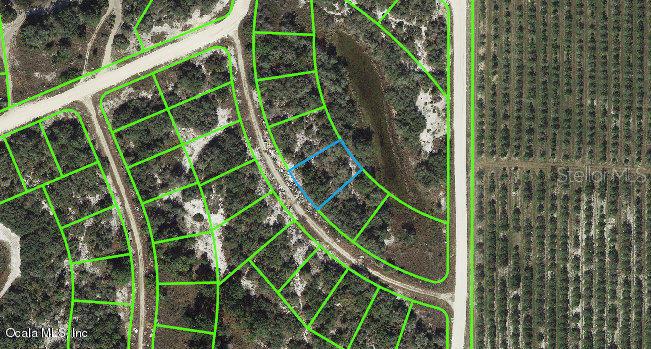 Listing Details for 121 Danby Drive, LAKE PLACID, FL 33852