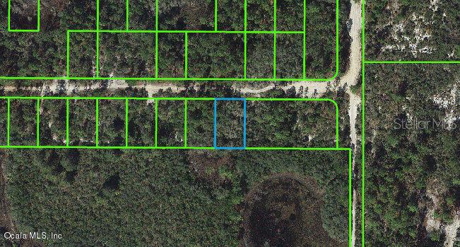 Listing Details for 333 Claverton Drive, LAKE PLACID, FL 33852