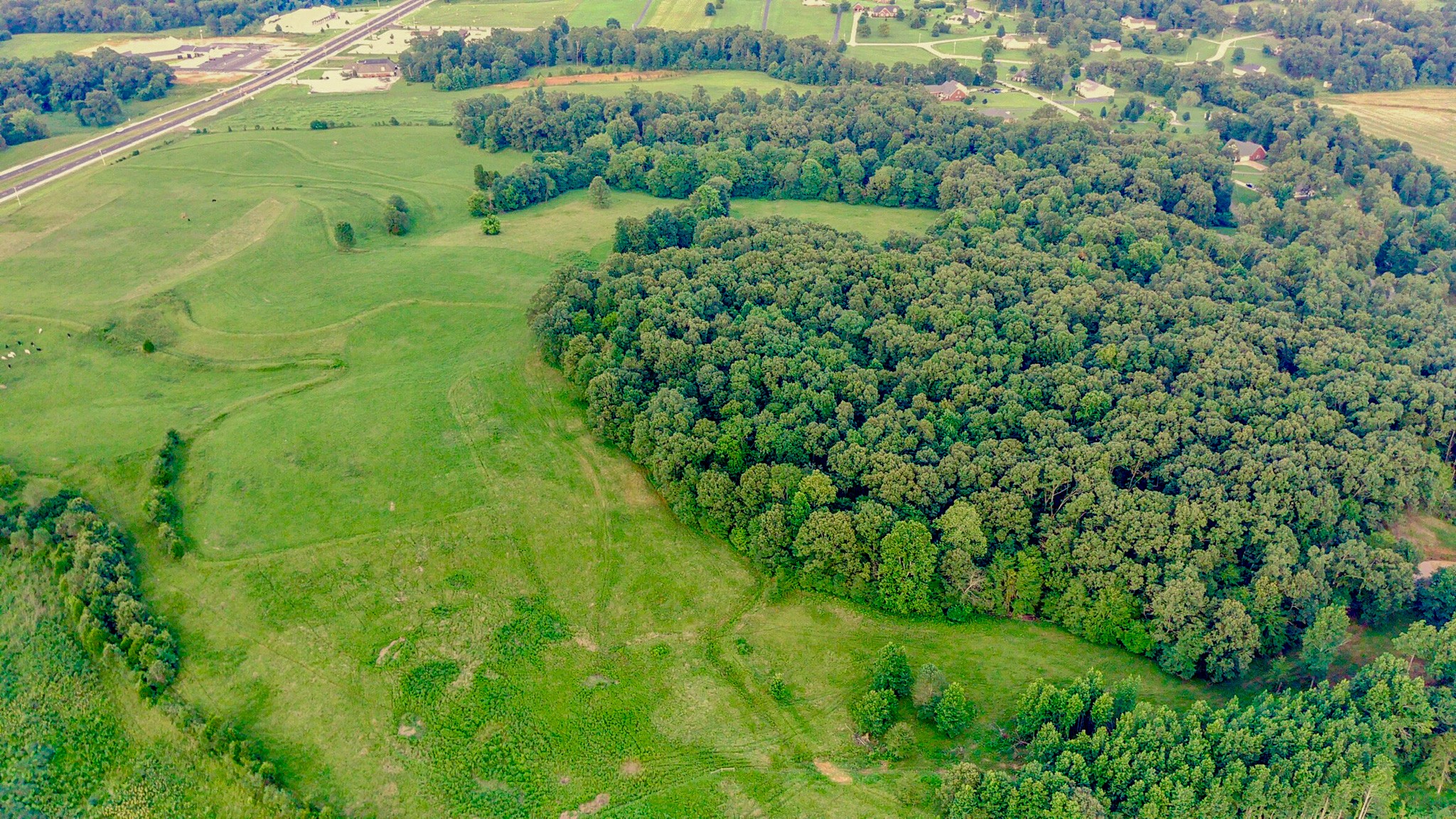 Image 4 of 12 For 0 Hwy 412 West