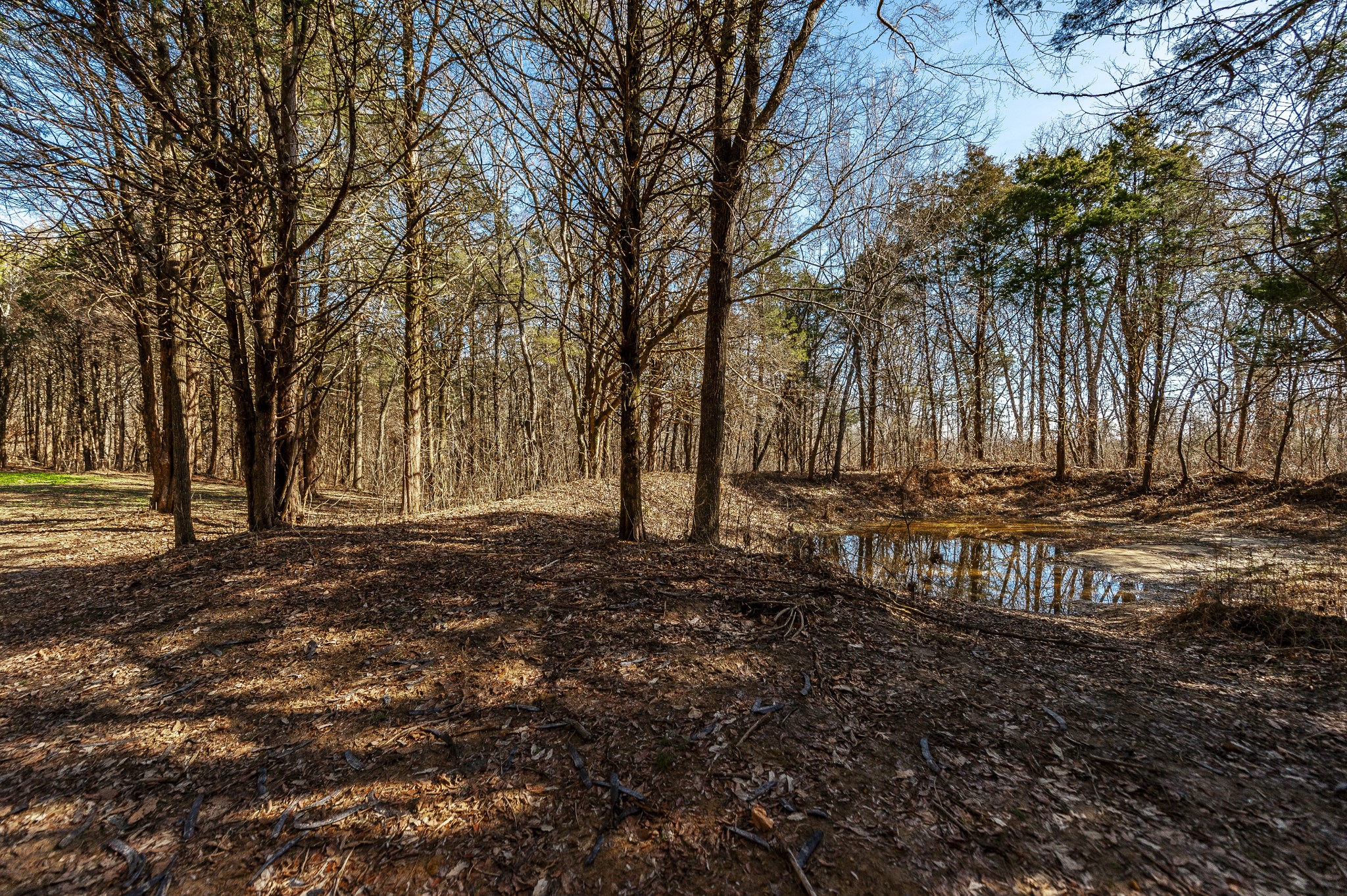 Image 67 of 70 For 8948 Rocky Fork Rd