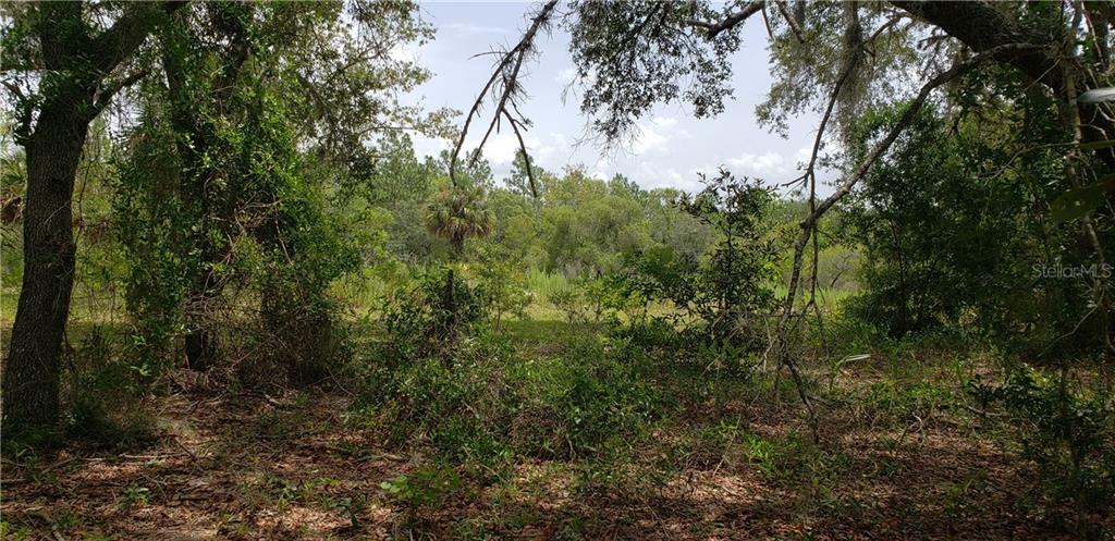 Details for Lot 11 Alt Hwy 27, WILLISTON, FL 32696