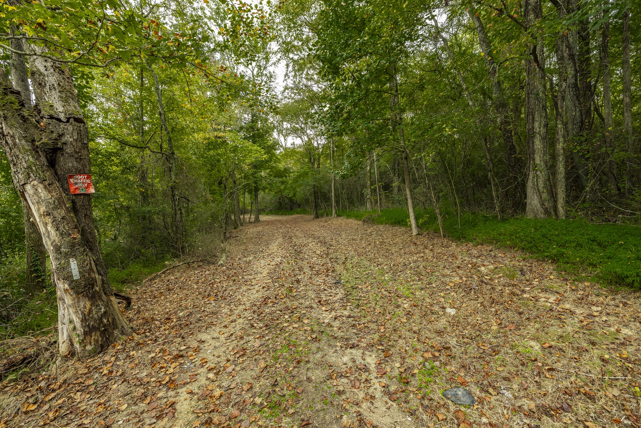 Image 68 of 69 For 0 Cairo Bend Road